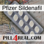 Pfizer Sildenafil 08